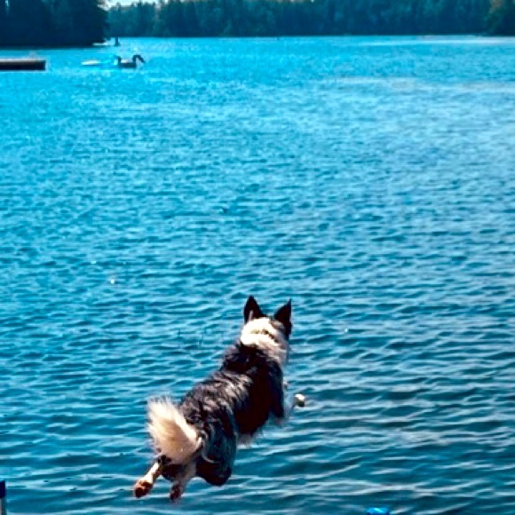 Meet your Posher, DevereauxCassie - Picture 7 of 12